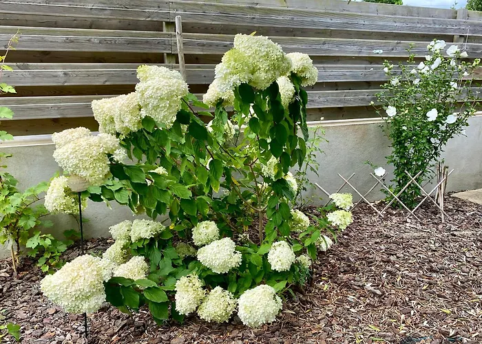 Au Renard Baulois - D'hotes Bed & Breakfast