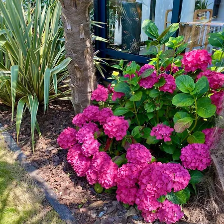 Au Renard Baulois - D'hotes